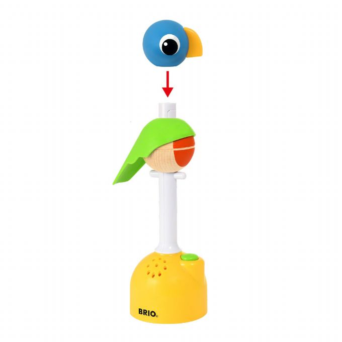 Play & Learn Record and Play Parrot version 5
