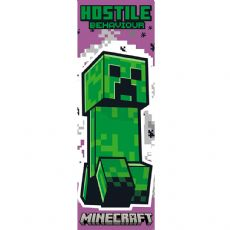 Minecraft Door juliste 53x158 cm