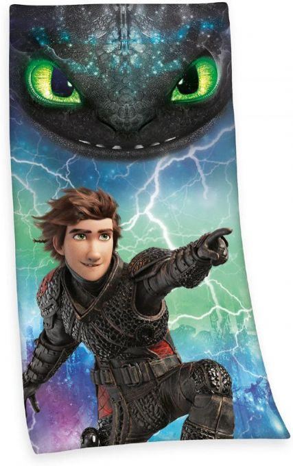 How To Train Your Dragon Towel version 1