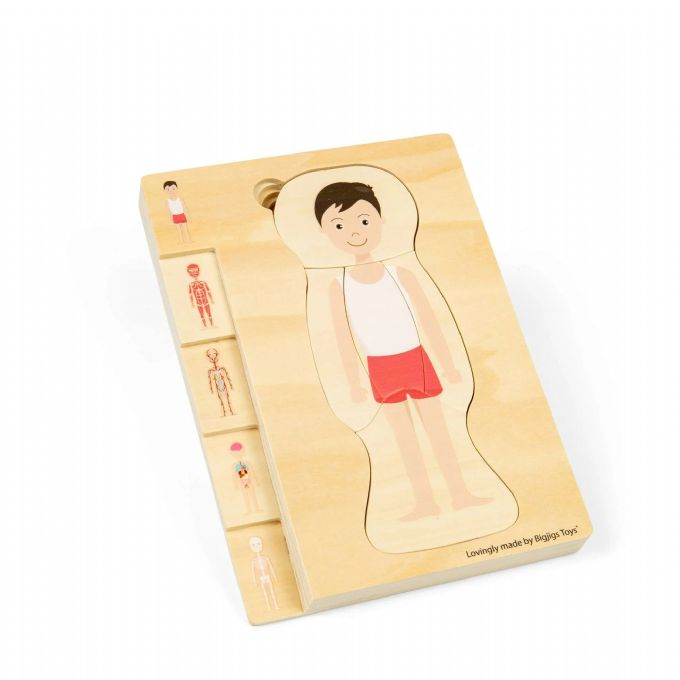 Puu Palapeli Anatomia, Poika version 1