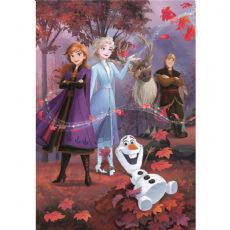 Puzzle 264742 box
