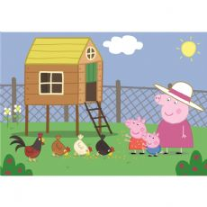 Puzzle Maxi 265909 box