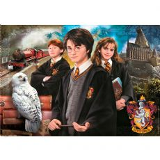 Puzzle Maxi 398621 box