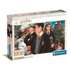 Harry Potter, 1000 brikker