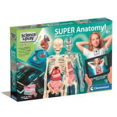 SUPER ANATOMY