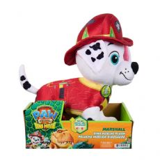 Paw Patrol Interactive Plush Toy 76509 box