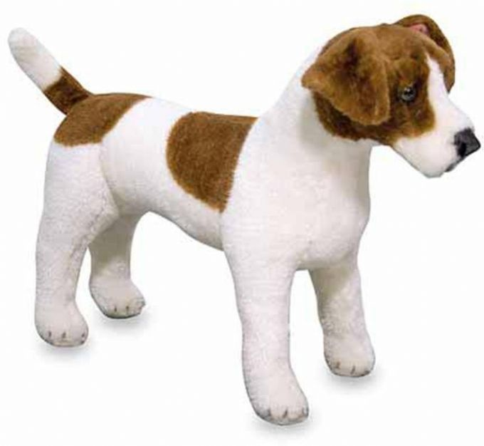 Jack Russell Terrier i plys version 2