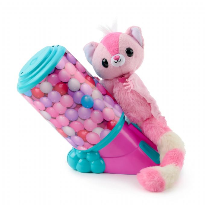 Jungvgel des Kurzkopfgleitbeu version 2