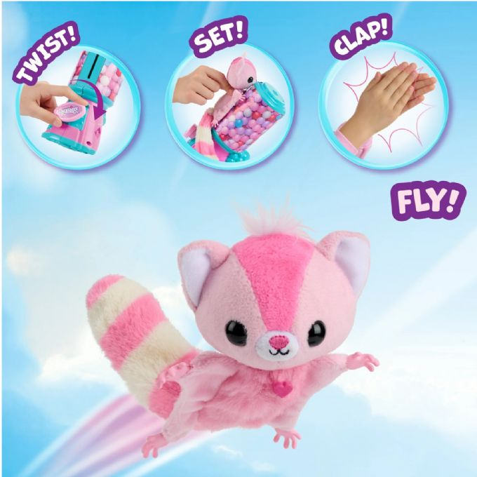 Jungvgel des Kurzkopfgleitbeu version 3