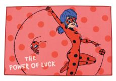 Ladybug og Cat Noir banner