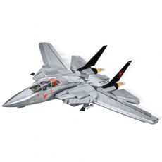 Grumman F-14 Tomcat
