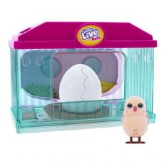 Little Live Pets Surprise Chick Playset