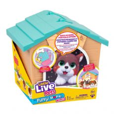 Little Live Pets banner