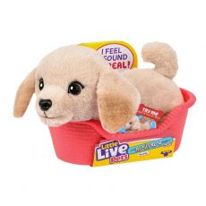 Little Live Pets Mini Buddy Noutaja