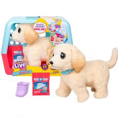 Little Live Pets Ouchies Koira