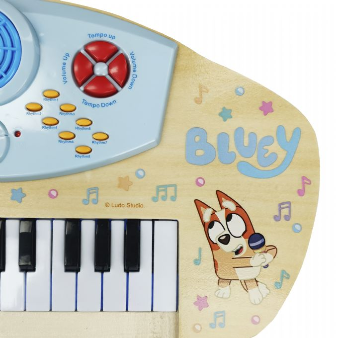 Bluey Elektronische Holztastat version 3