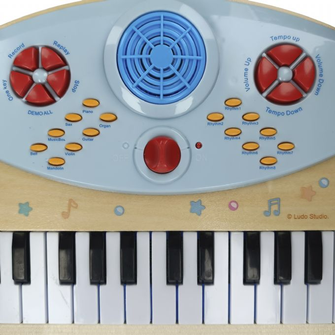 Bluey Elektronische Holztastat version 5