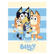 Bluey Hygge- ja fleecepeitot 367598 box