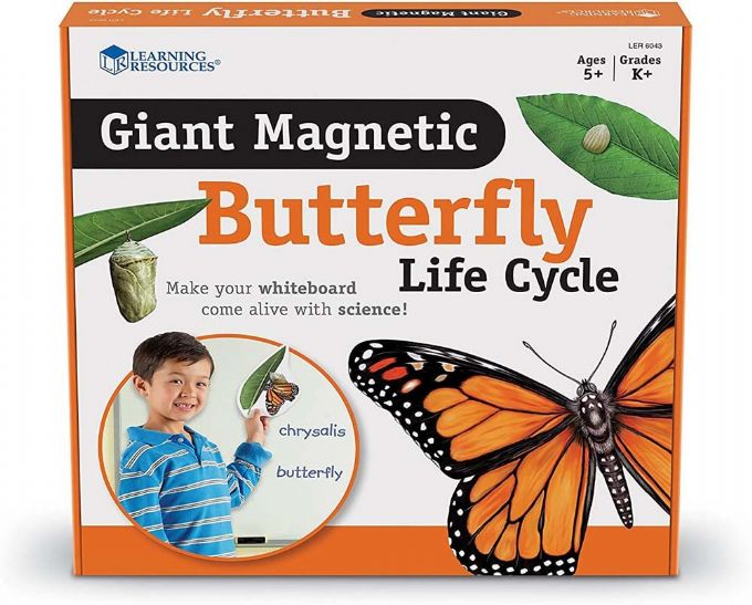Stor magnetisk livssyklus - sommerfugl version 3