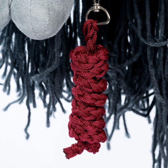 Riimu ja talutusk�ysi, punainen version 3