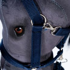 keppihevostarvikkeet 843861 box