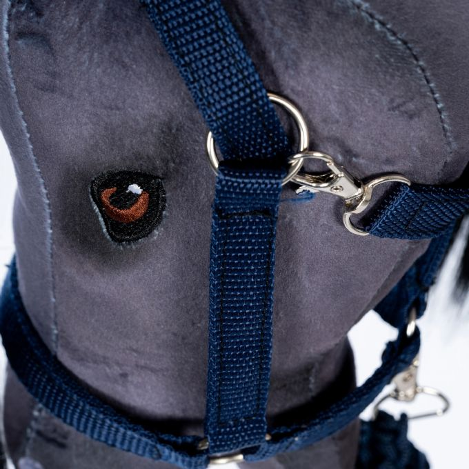 Riimu ja talutusk�ysi, sininen version 2