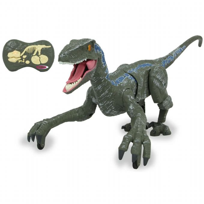 RC Dinosaurier Velociraptor 2, version 1
