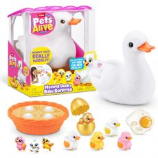 Kj�ledyr i live Mamma And 