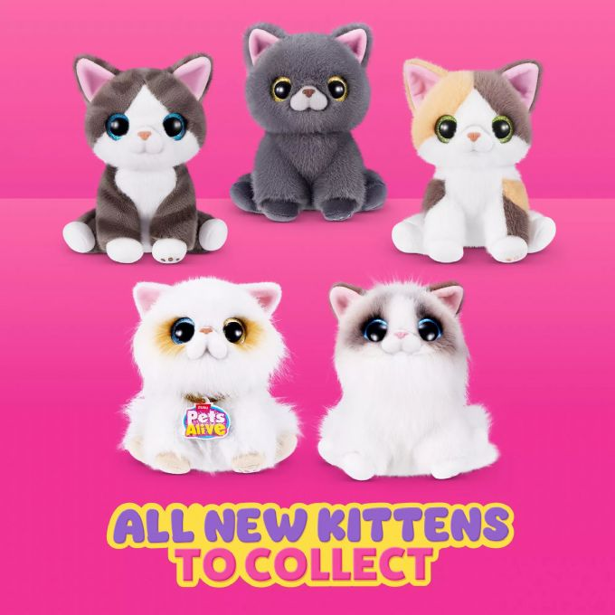 Pets Alive Smitten Kittens S2 version 4