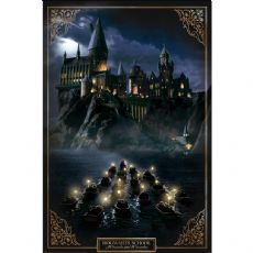 Harry Potter-plakat 91x61 cm