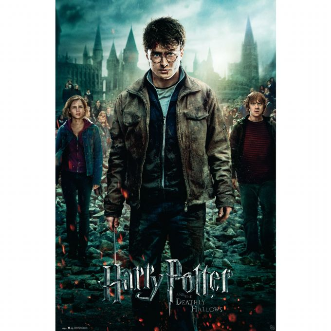 Harry Potter-affisch 91,5x61 cm version 1