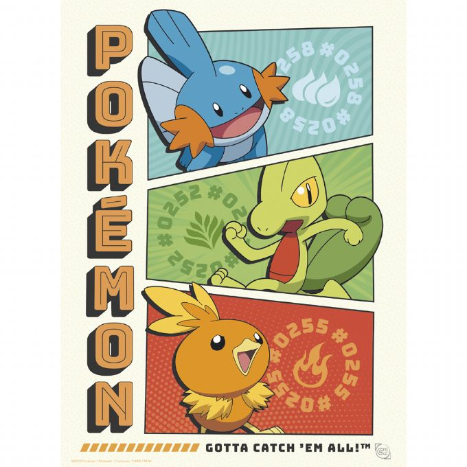 Pokemon Poster sett 9 stk 21x29,7 cm version 4